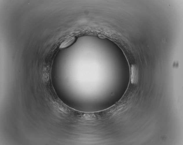 X0000091091491200708131308