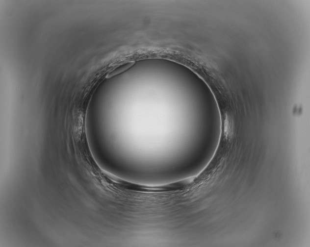 X0000091091492200708131308