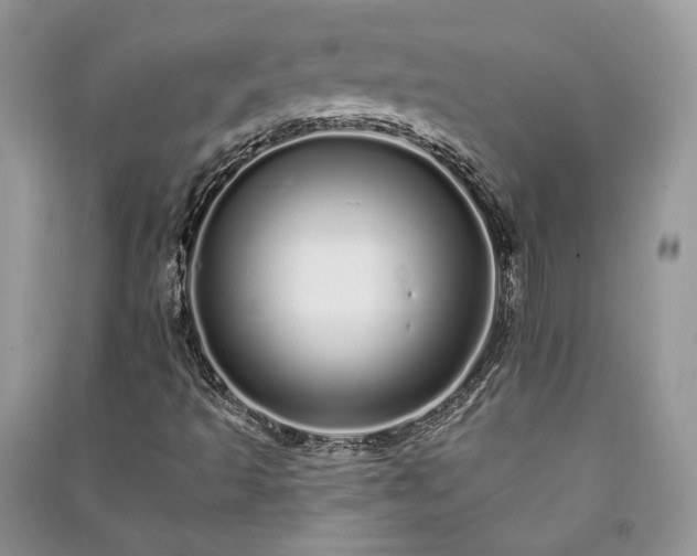 X0000091091493200708131308