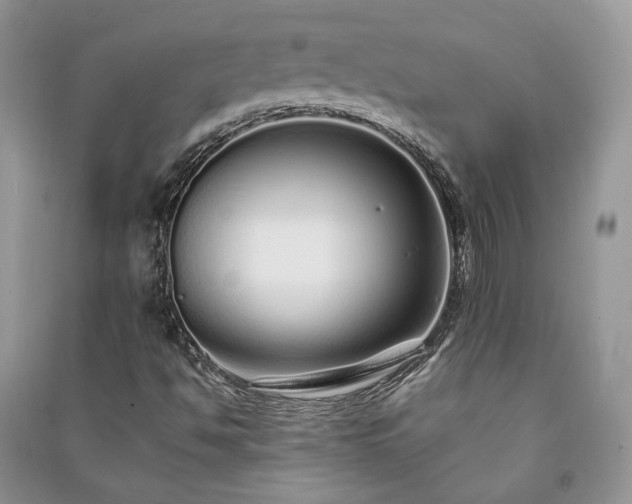 X0000091091494200708131308