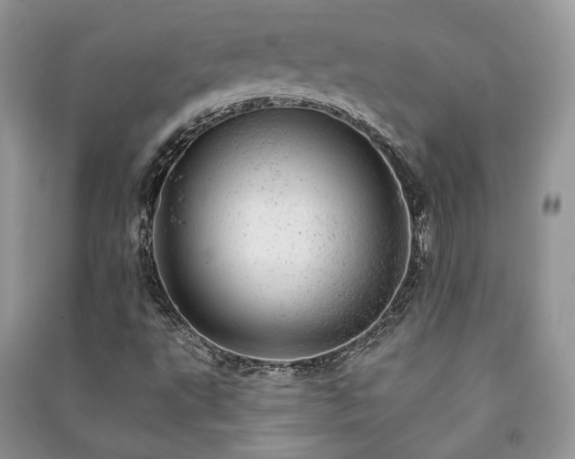 X0000091091495200708131308