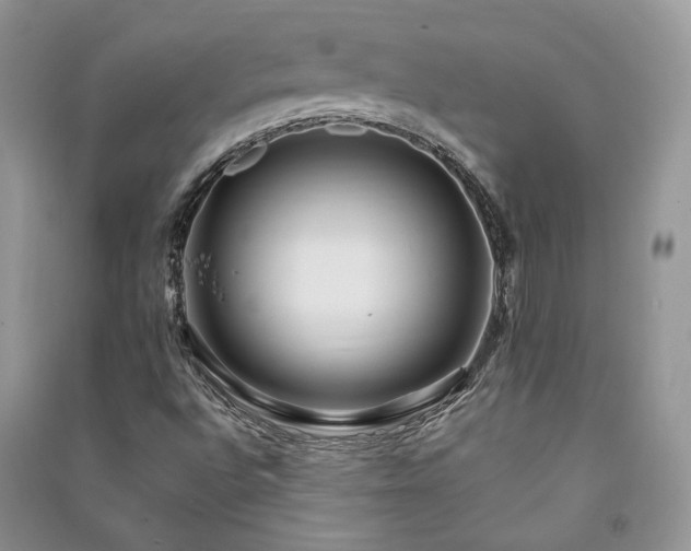 X0000091091496200708131308