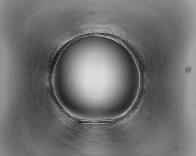 X0000091091497200708131308
