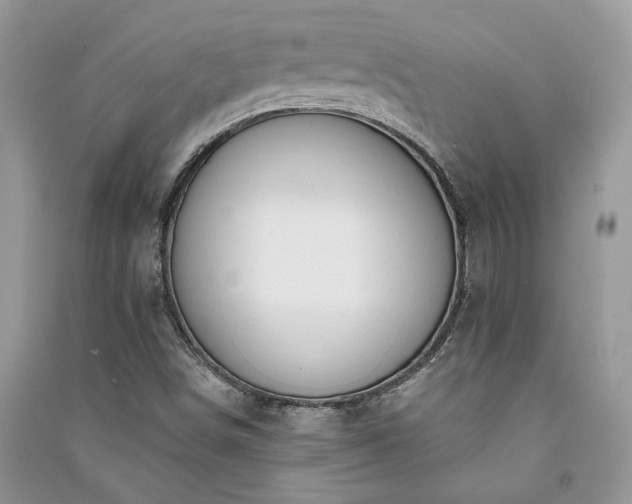 X0000091091498200708131308