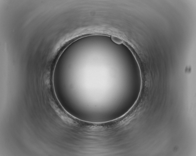 X0000091091499200708131308