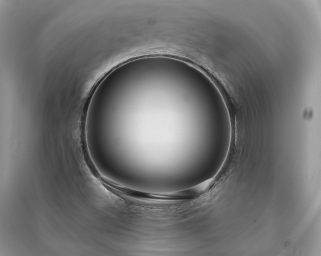 X0000091091500200708131308