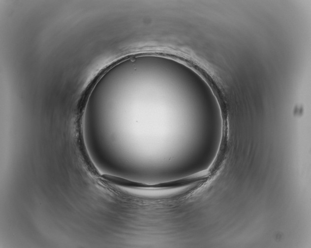 X0000091091501200708131308