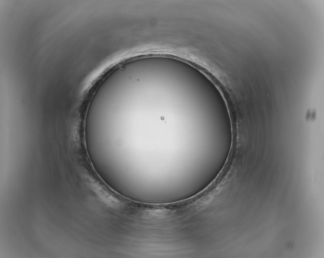X0000091091502200708131308