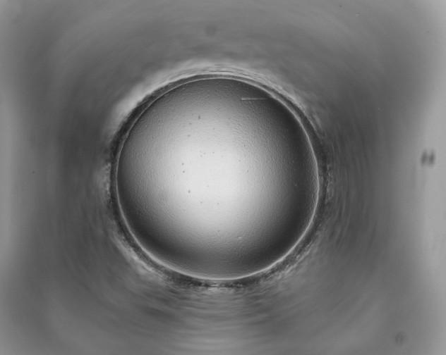 X0000091091503200708131308