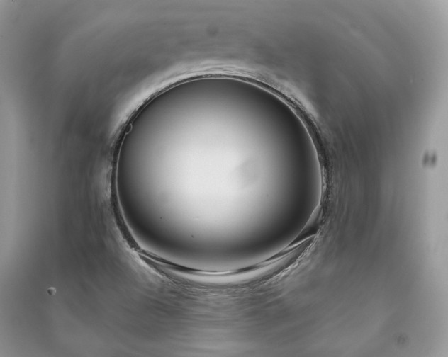 X0000091091504200708131308