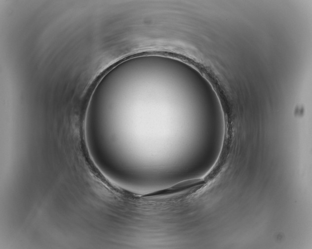 X0000091091505200708131308
