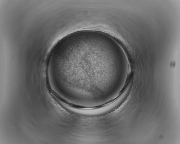 X0000091091506200708131308