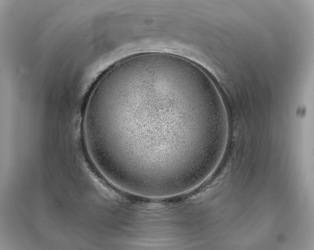 X0000091091507200708131308