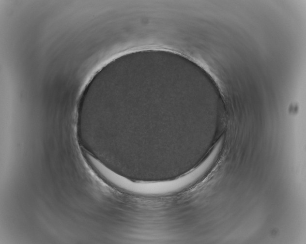 X0000091091508200708131308