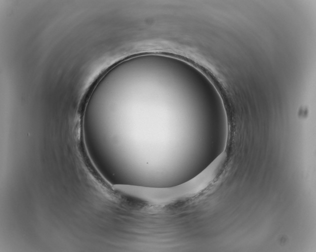 X0000091091509200708131308