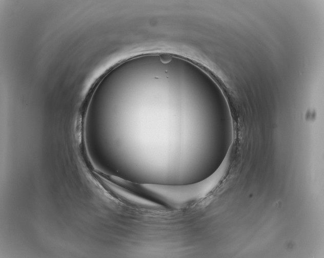 X0000091091510200708131308