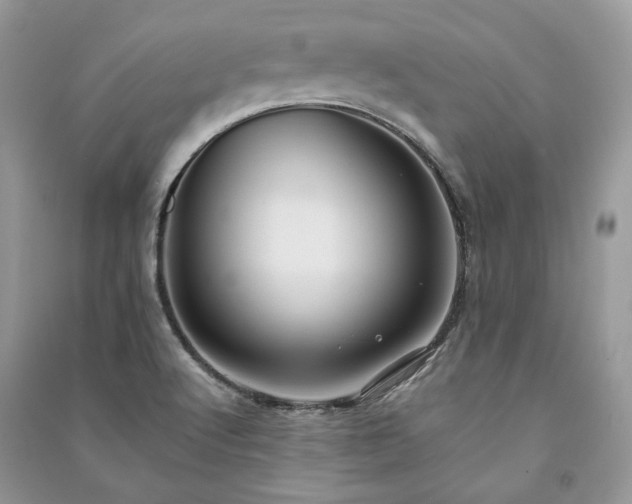 X0000091091512200708131308