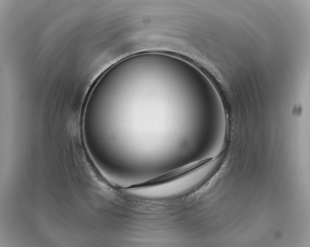 X0000091091513200708131308