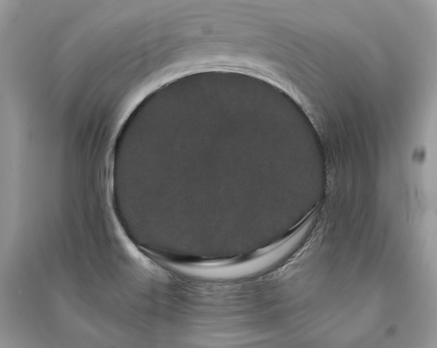 X0000091091515200708131308