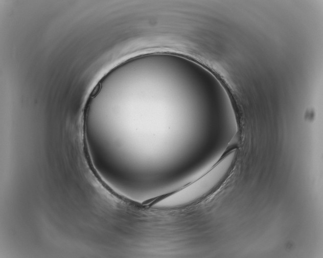 X0000091091516200708131308