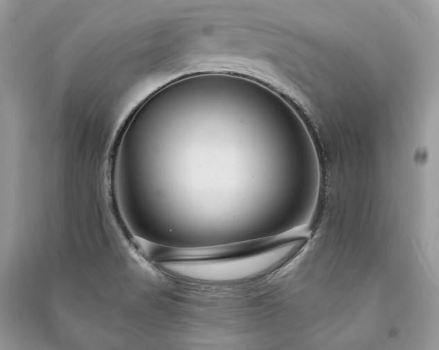 X0000091091517200708131308