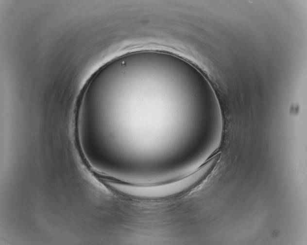 X0000091091518200708131308