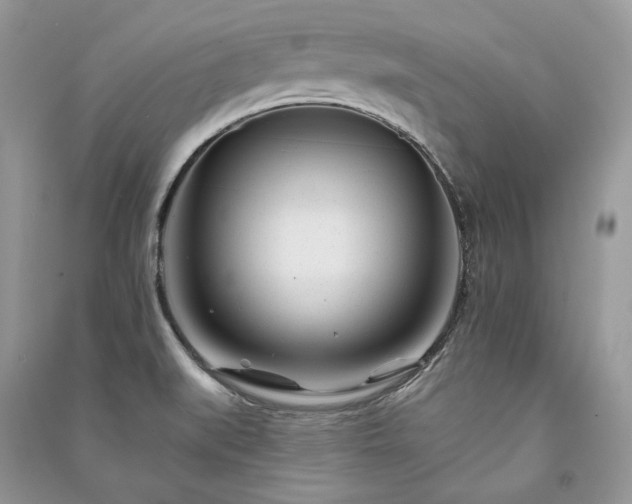 X0000091091519200708131308