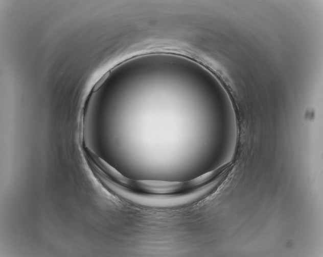 X0000091091520200708131308