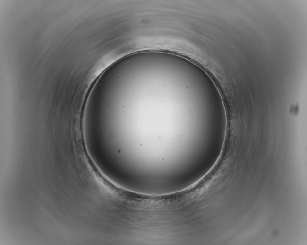X0000091091521200708131308