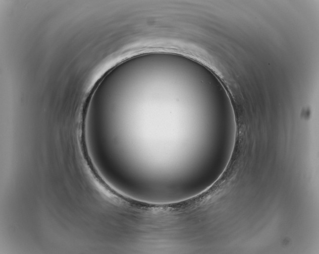 X0000091091523200708131308