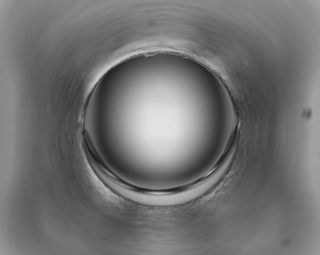 X0000091091524200708131308