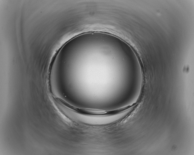 X0000091091525200708131308
