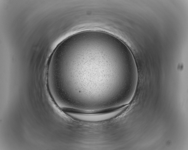 X0000091091526200708131308