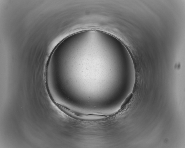 X0000091091527200708131308