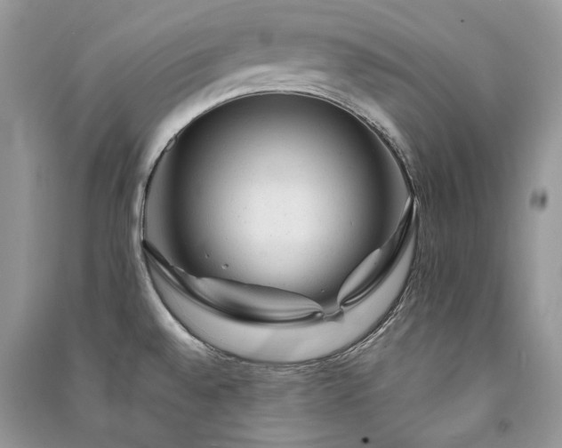 X0000091091528200708131308
