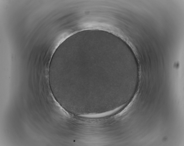 X0000091091529200708131308