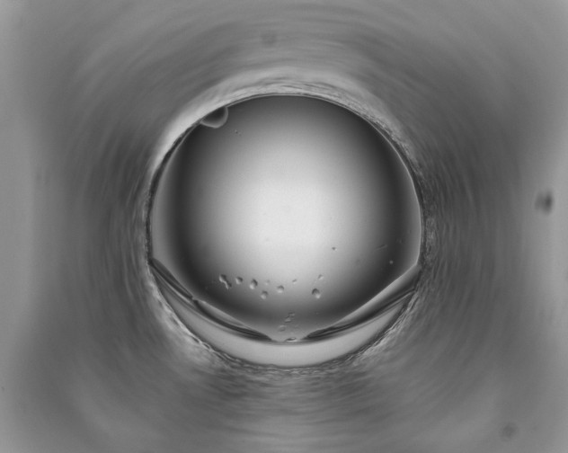 X0000091091530200708131308