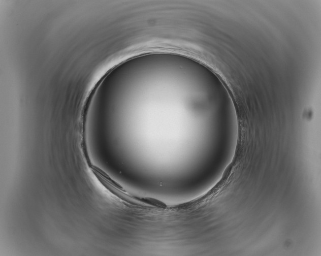 X0000091091531200708131308