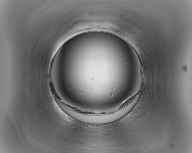 X0000091091532200708131308
