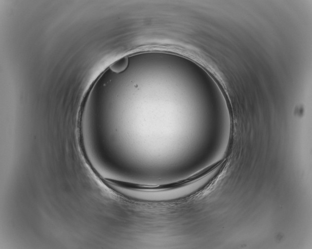 X0000091091533200708131308