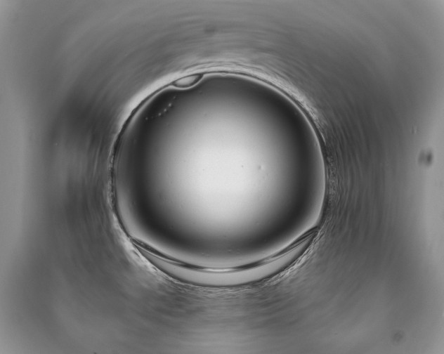 X0000091091534200708131308