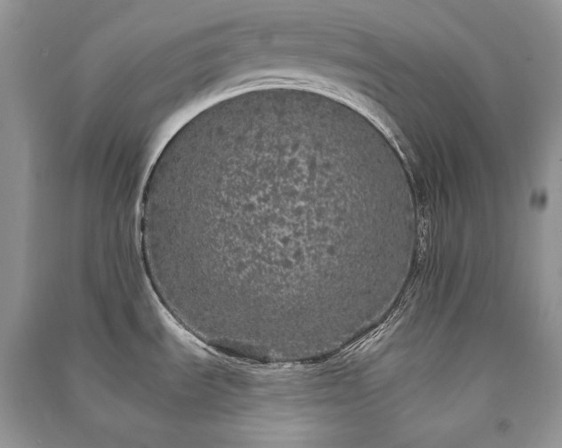 X0000091091535200708131308