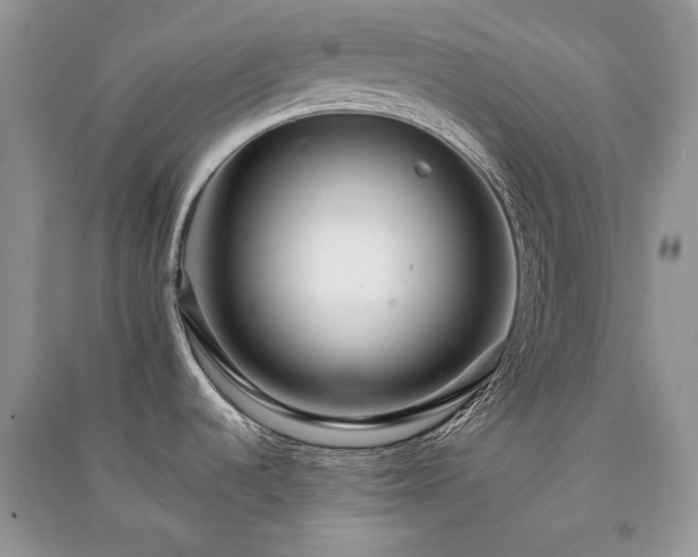 X0000091091536200708131308
