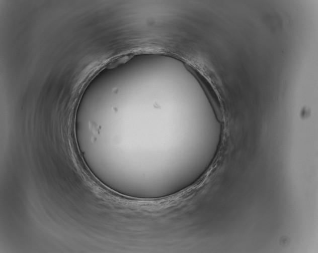 X0000091090001200708201508