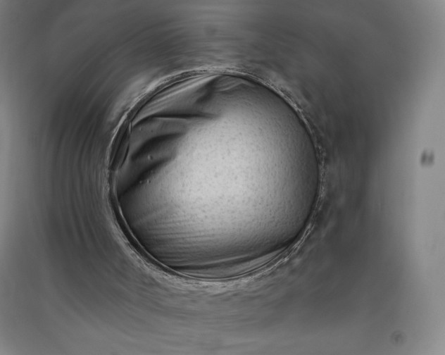 X0000091090002200708201508