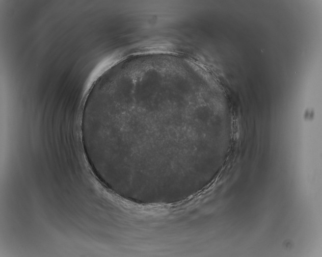 X0000091090004200708201508