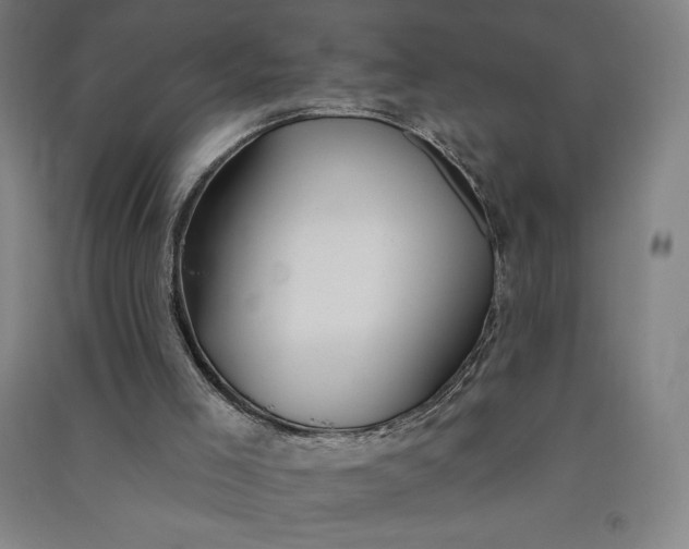 X0000091090005200708201508