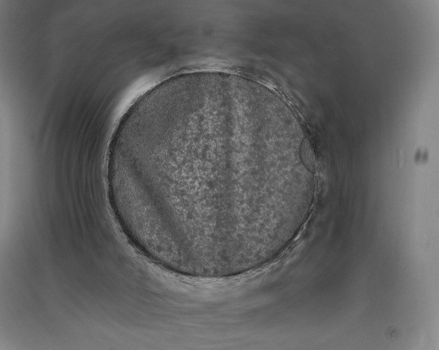 X0000091090006200708201508