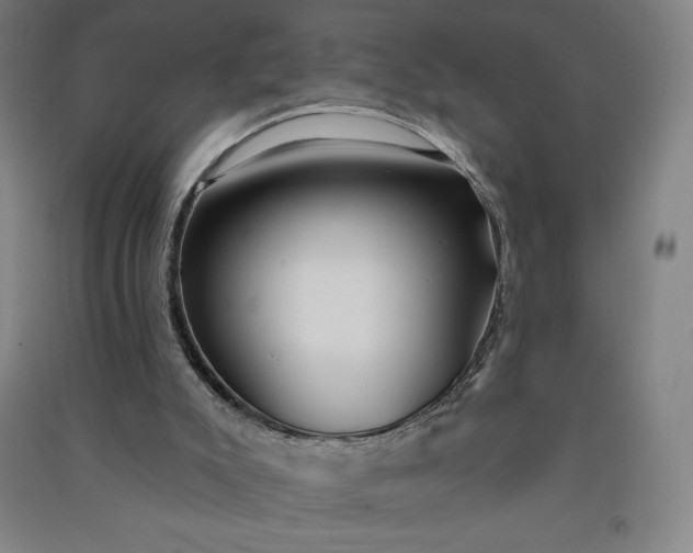 X0000091090007200708201508