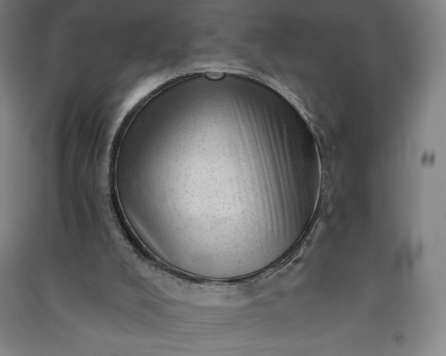 X0000091090008200708201508